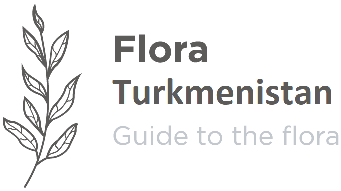 Flora Turkmenistan